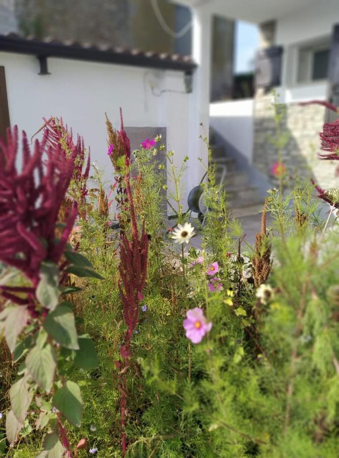 Casa Doris Daire Montabone Dış mekan fotoğraf